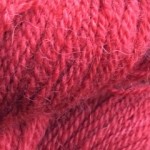 amaryllis